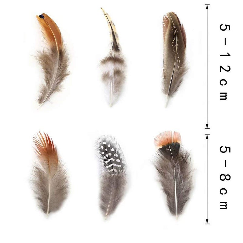Ballinger 360pcs 12 Styled Natural Feathers Assorted Mixed Feathers for Jewelry and Dream Catcher Crafts - Image 5